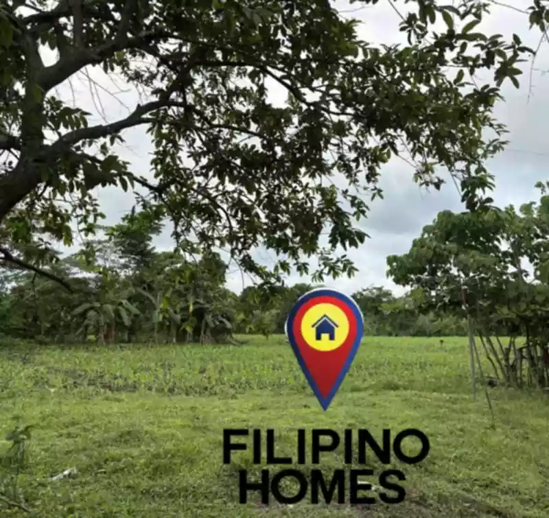 AGRI-FARM LOT FOR SALE