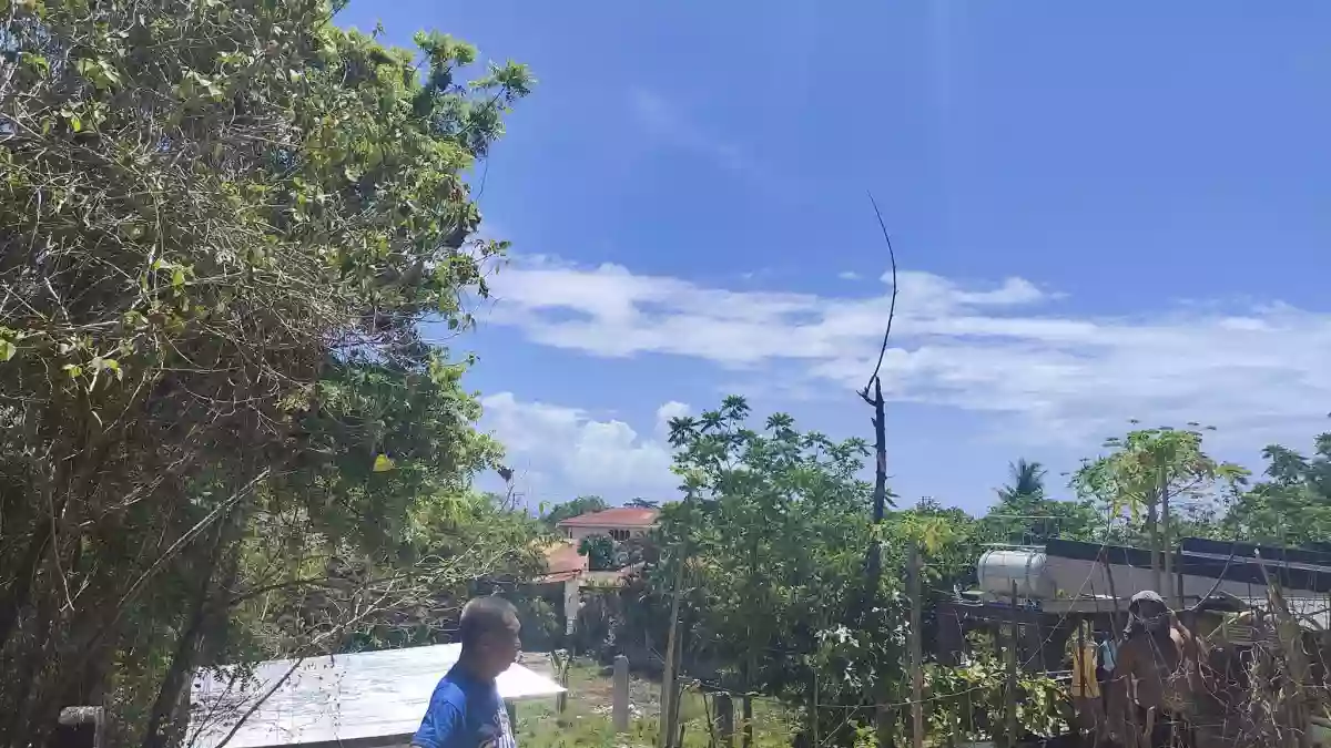 Residential Lot for Sale in Poblacion Liloan — Residential Lot in Liloan, Cebu, Philippines — Photo 4