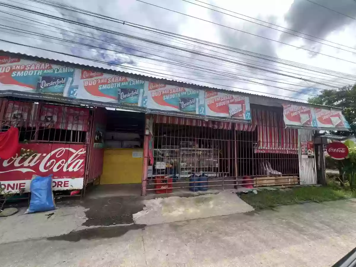 Commercial/ residential property — House and Lot in Alegria, Surigao del Norte, Philippines — Photo 2