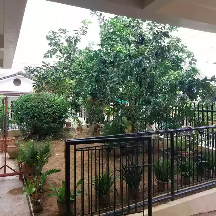Titled House and Lot for SALE in Pitogo, Consolacion, Cebu. Garden Bloom Acres Subdivision — House and Lot in Iris, Pitogo, Consolacion — Photo 3