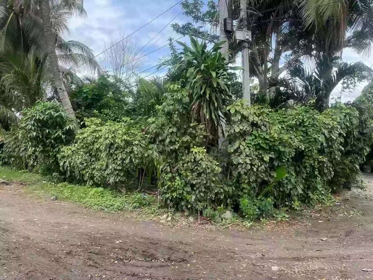 HOUSE AND LOT IN BLOCK 0 DADIANGAS CITY HEIGHTS FOR SALE — House and Lot in General Santos City (Dadiangas), South Cotabato, Philippines — Photo 2