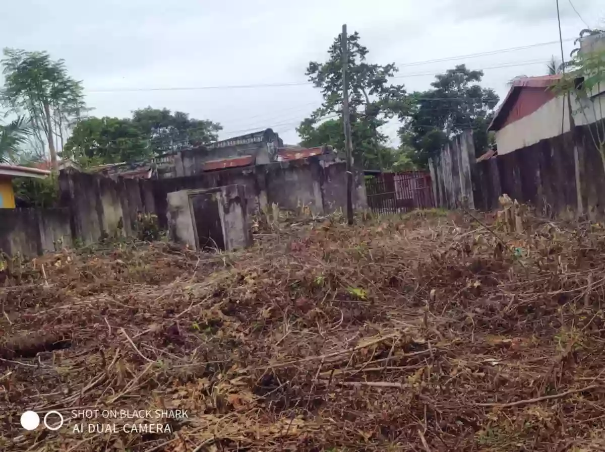 Residential /Commercial Lot for sale — Residential Lot in Liloan, Cebu, Philippines — Photo 3