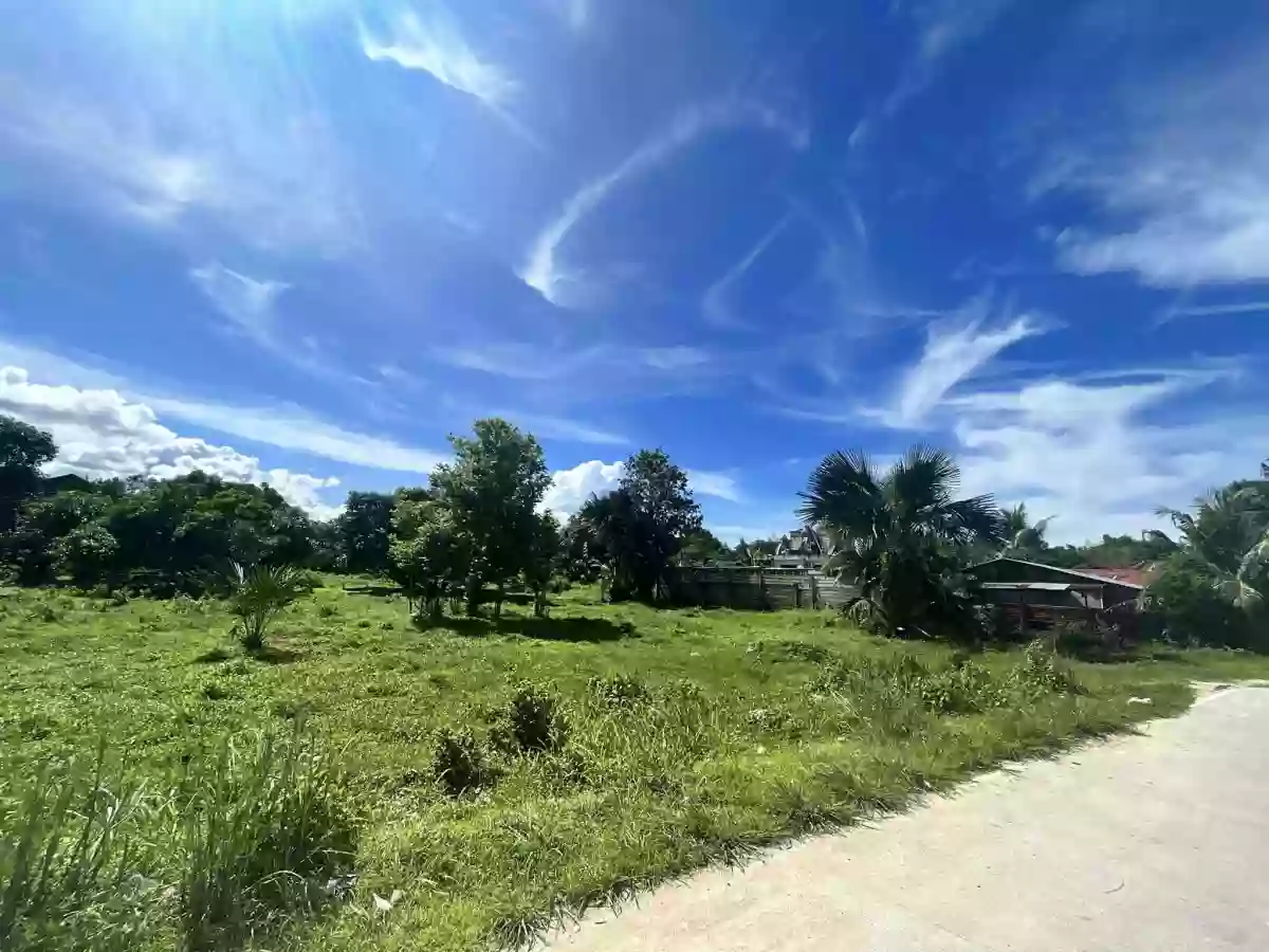 LOT ONLY FOR SALE @ San Vicente, Liloan — Residential Lot in Liloan, Cebu, Philippines — Photo 4