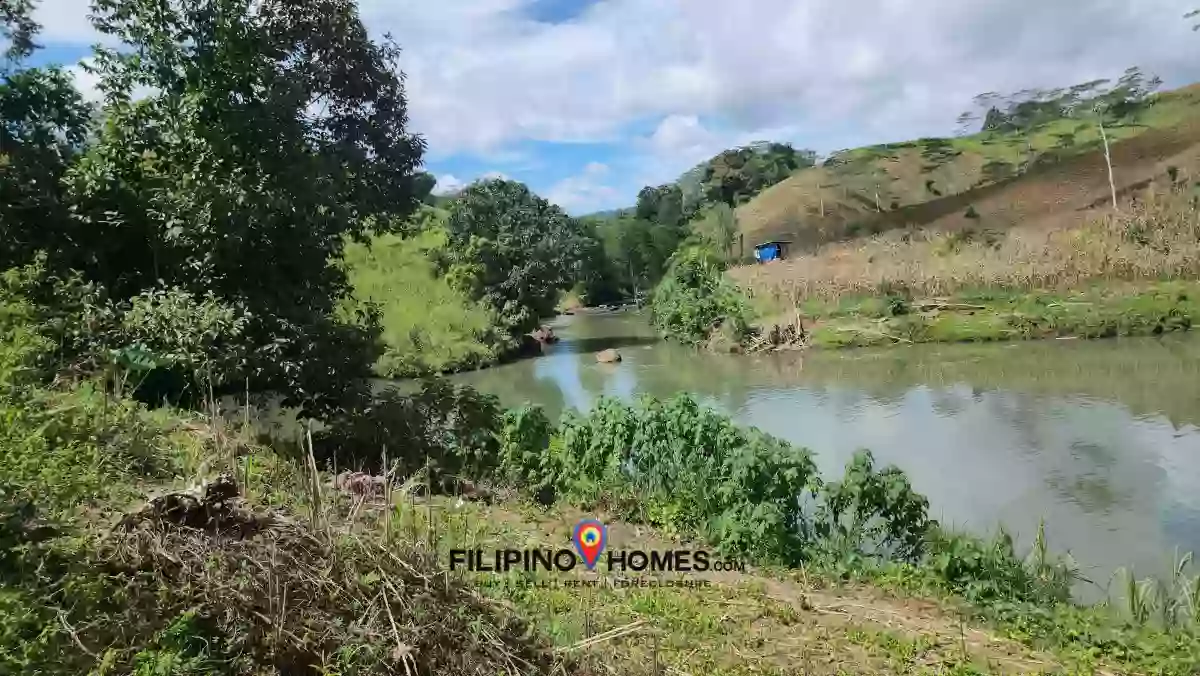 1.7 hectares Farm Lot for Sale in San Rafael, Talakag, Bukidnon