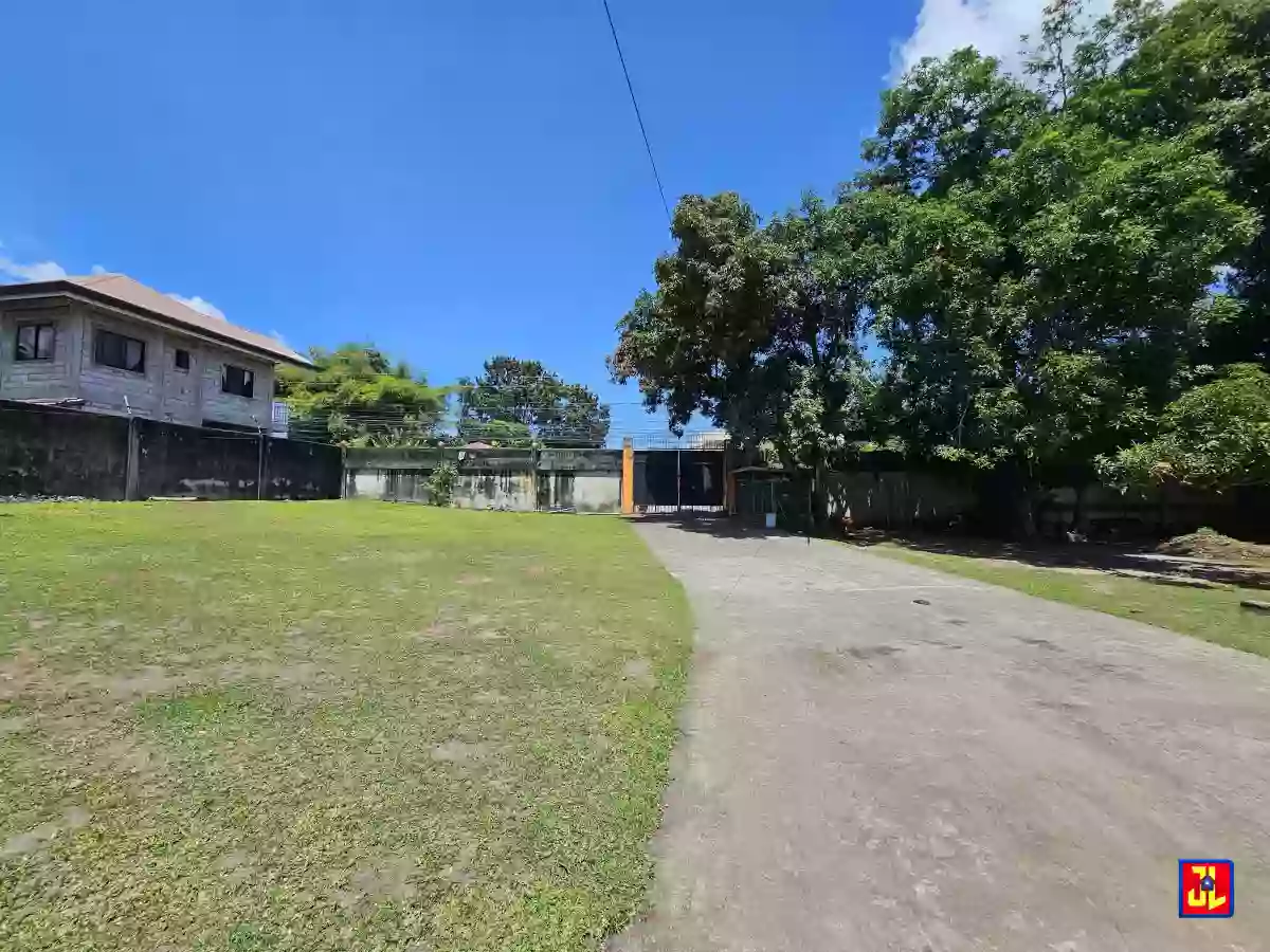 Rush Sale 13,431sqm Amazing Commercial Lot Along National Highway Talay, Dumaguete [available] — Commercial Lot in Dumaguete City, Negros Oriental, Philippines — Photo 4