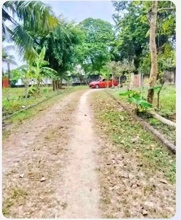 Beach Lot For Sale — Beach Lot in Philippines — Photo 2