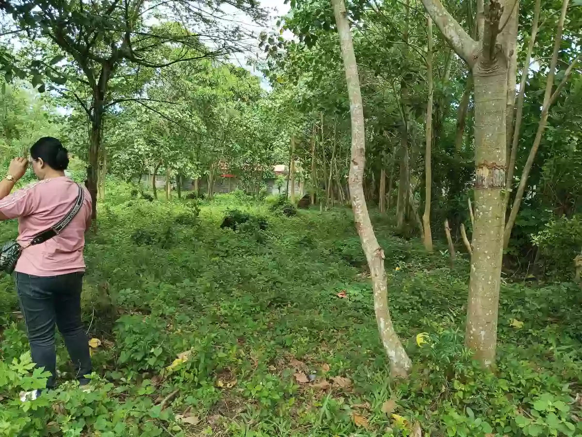 Lot for sale — Residential Lot in General Santos City — Photo 5