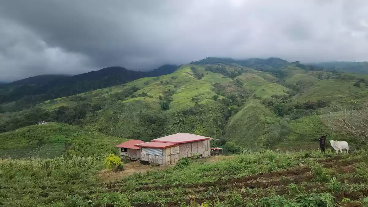 2.2 Hectares Farm Lot with 360° View in Basak, Lantapan, Bukidnon — Agricultural Lot in Lantapan, Bukidnon, Philippines — Photo 2