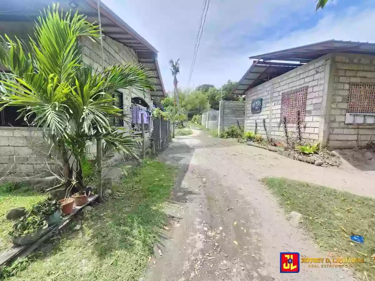 Rush Sale! 772sqm Lot in Combado, Bacong [available] — Residential Lot in Bacong, Negros Oriental, Philippines — Photo 4