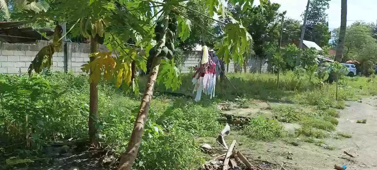 Lot for sale — Commercial Lot in Alabel, Sarangani, Philippines — Photo 2