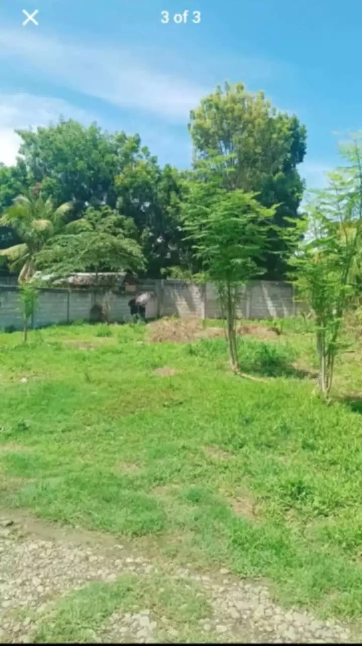 RUSH LOR FOR SALE — Residential Lot in Dumaguete, Negros Oriental, Philippines — Photo 4