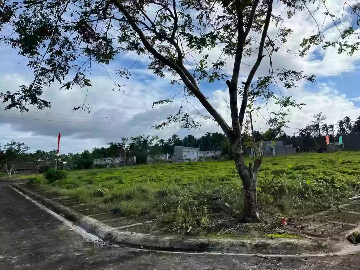 169 SQ.M_Johnville Subdivision_Residential Lot — Residential Lot in Goa, Camarines Sur, Philippines — Photo 2