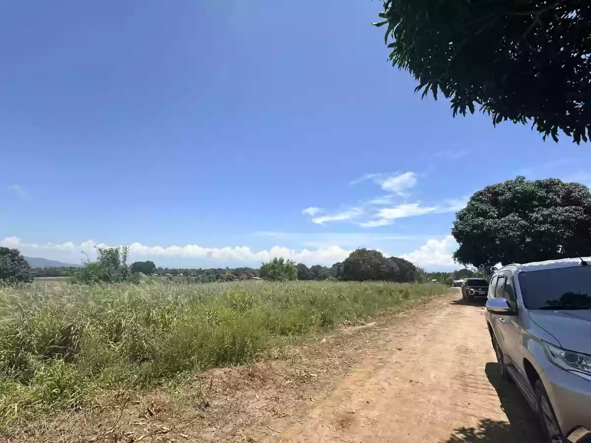 : Prime Agricultural Lot for Sale — Agricultural Lot in South Cotabato, Philippines — Photo 4