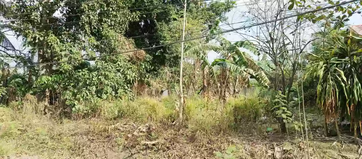 Lot For Sale — Residential Lot in Bacolod City, Negros Occidental, Philippines — Photo 3
