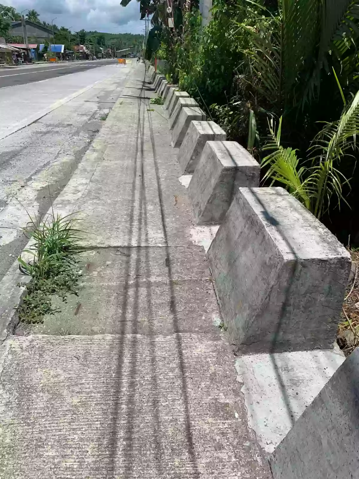 Residential Lot for sale along National Highway Located in Plaridel Quezon — Residential Lot in brgy, Maharlika Highway, Plaridel — Photo 2