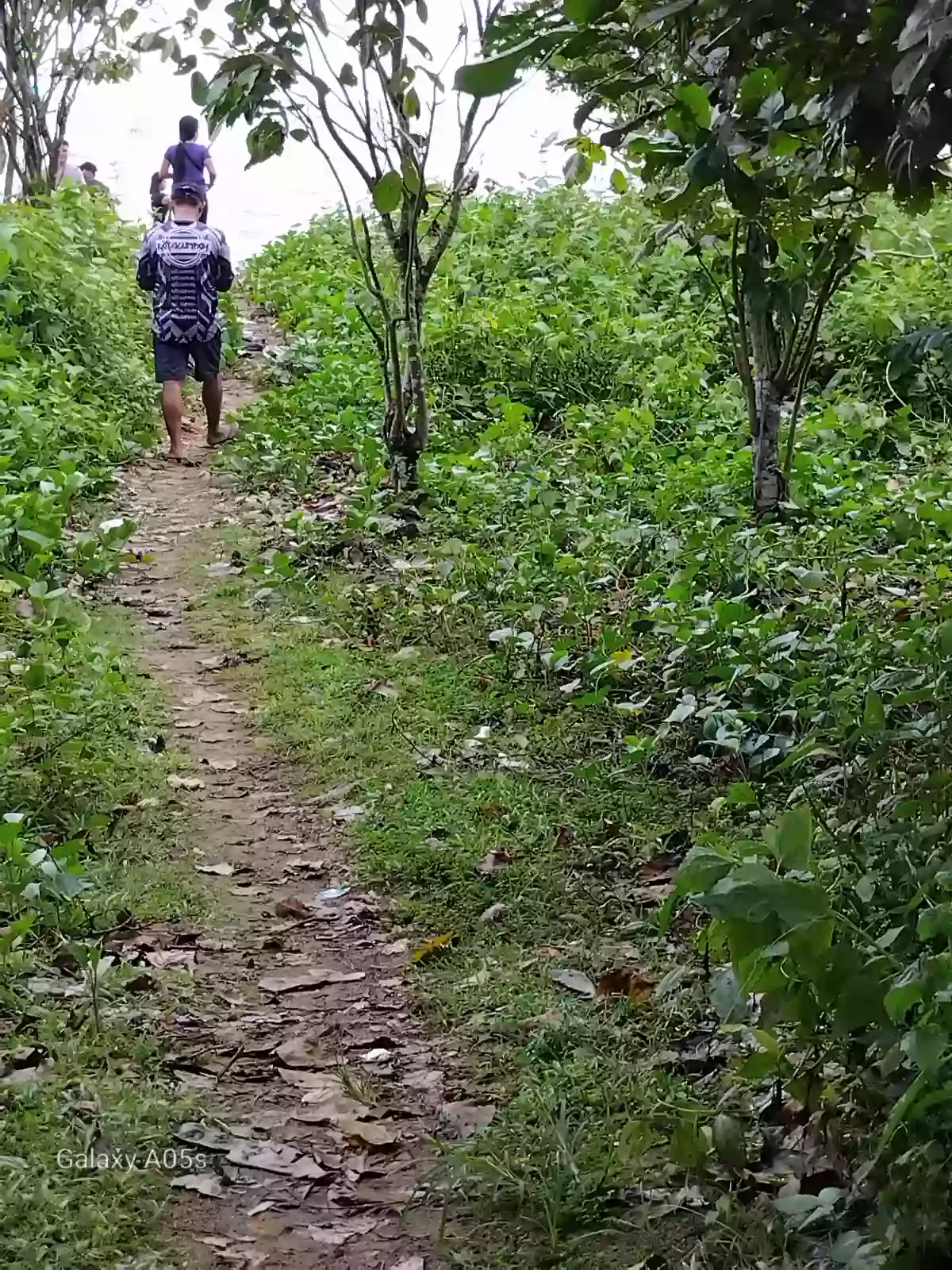 Beach Front Property For Sale (Hinoba-an) — Beach Lot in Negros Occidental, Philippines — Photo 4