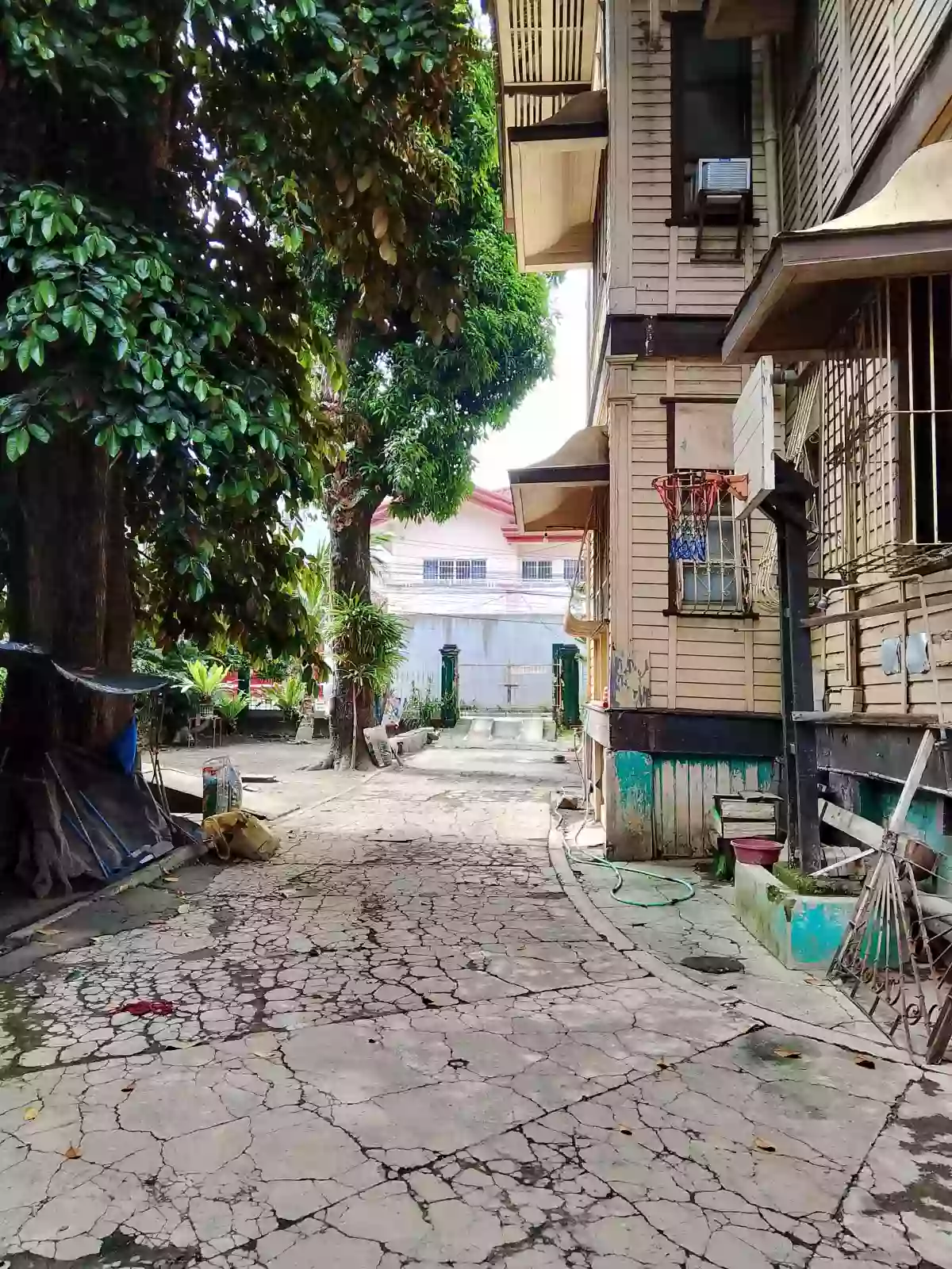 Lot for Sale with Old House in Cebu City — Residential Lot in Cebu City, Cebu, Philippines — Photo 5