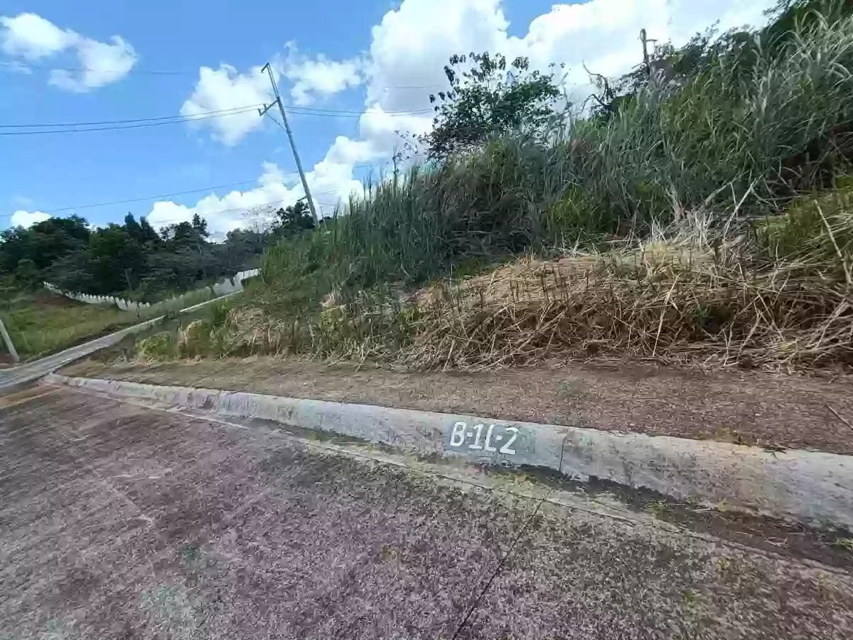 LOT FOR SALE AT THE GLADES TIMBERLAND