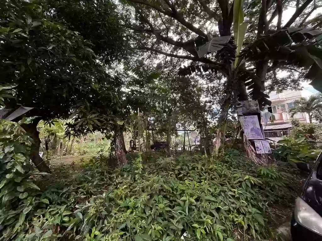 LOt 1, BLK 6, St.Paul Subdivision — Residential Lot in Pili, Camarines Sur, Philippines — Photo 4