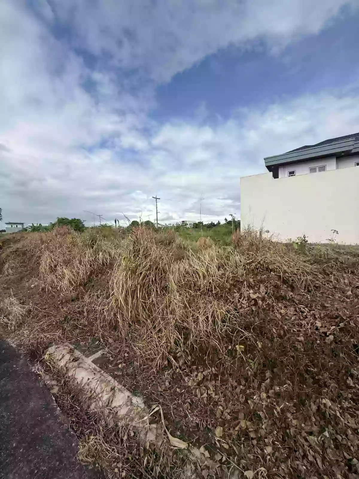Lot only — Residential Lot in Naga City, Camarines Sur, Philippines — Photo 7
