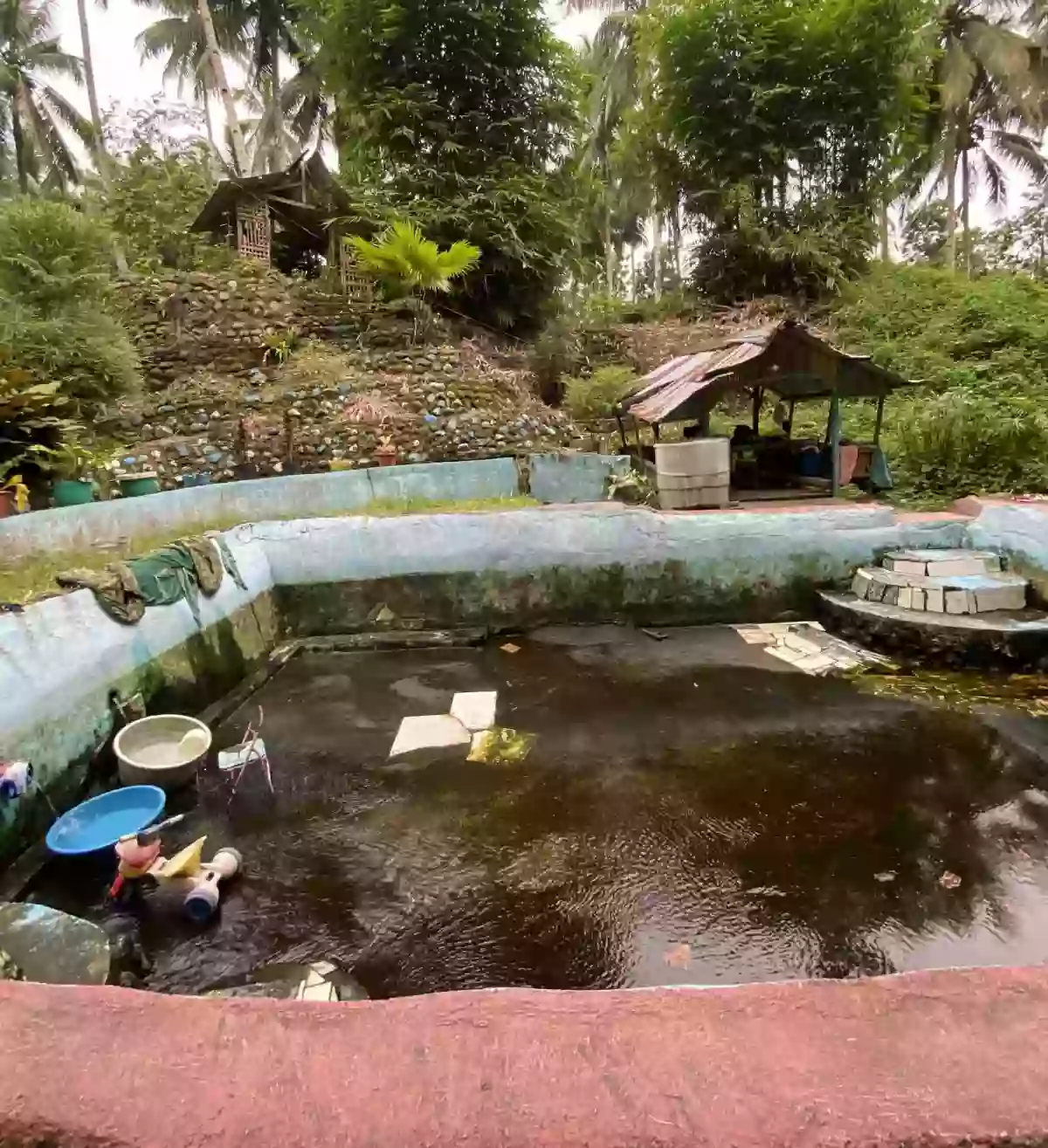 FARMLOT FOR SALE IN TUPI SOUTH COTABATO — Agricultural Lot in Tupi, South Cotabato, Philippines — Photo 2