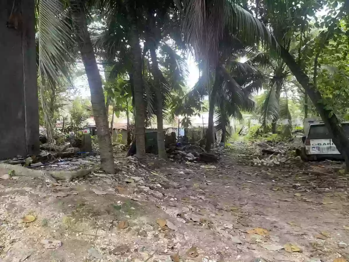 For Sale Lot in Cubacub Mandaue City — Residential Lot in Mandaue City, Cebu, Philippines — Photo 3