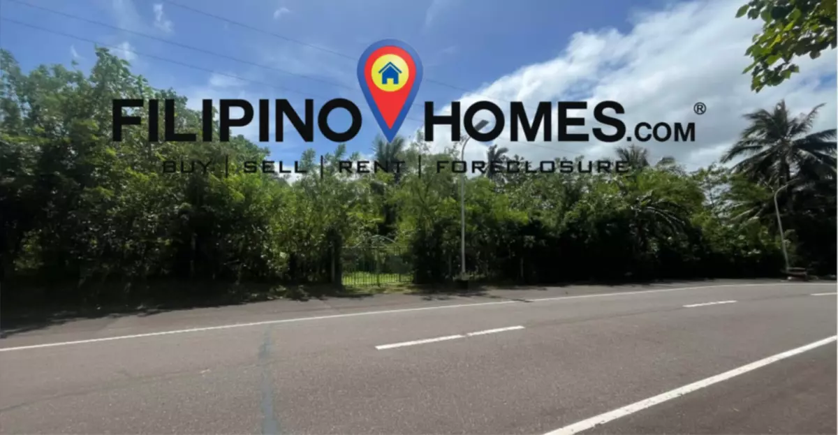 Lot for Sale with  300 meters of road frontage along the national road — Agricultural Lot in Albay, Philippines — Photo 3