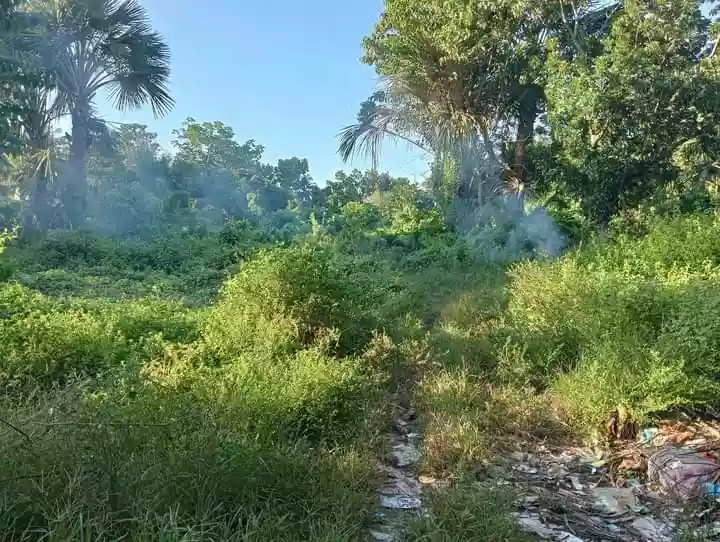 Lot for Sale at Guinsay. Danao City — Agricultural Lot in Unnamed Road, Danao City, Cebu — Photo 5