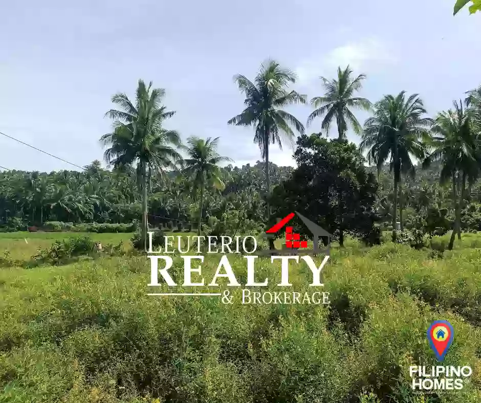 Agricultural Lot For sale Located in Brgy. Inalig Atimonan Quezon 5,815sqm