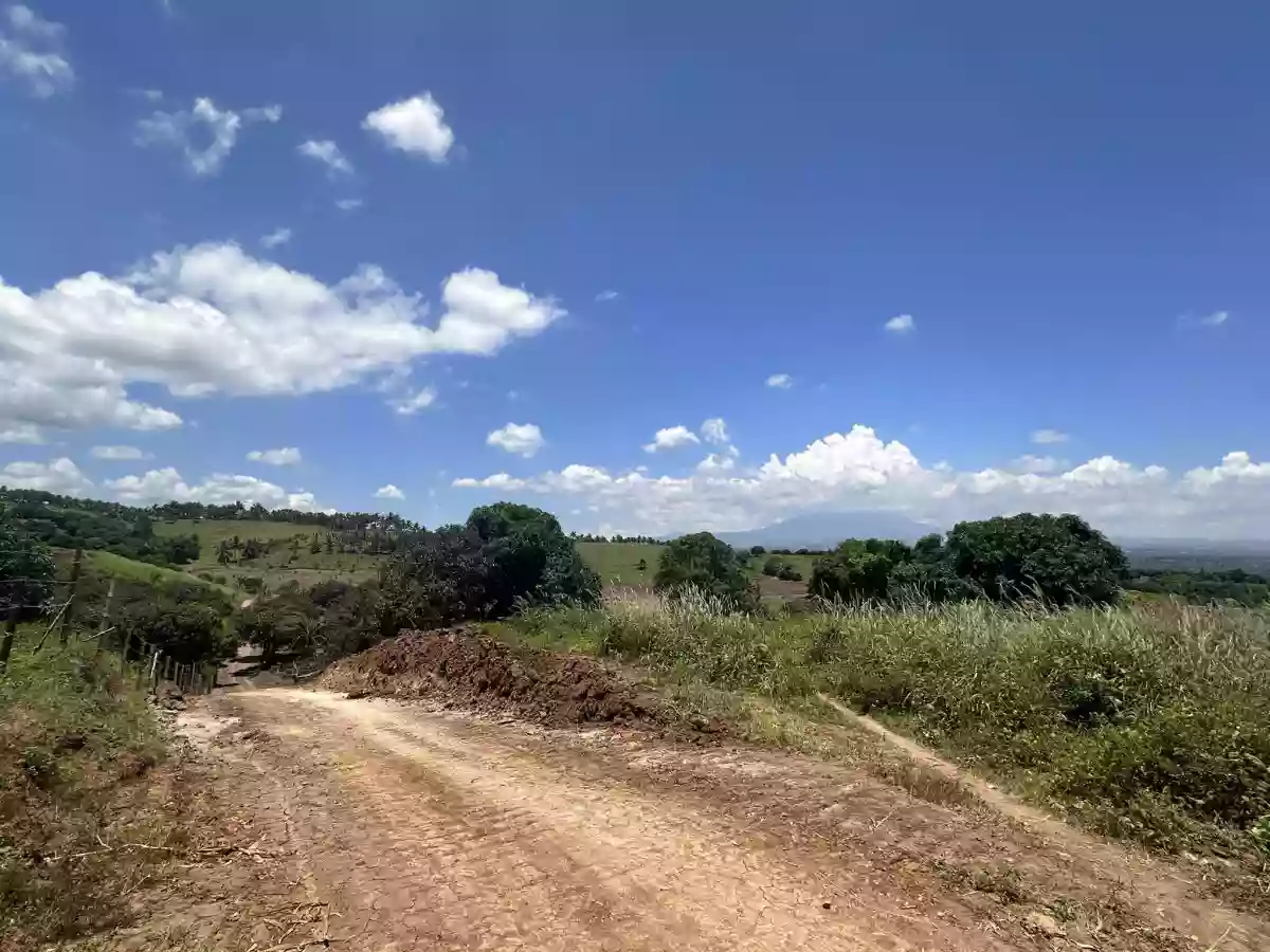 : Prime Agricultural Lot for Sale — Agricultural Lot in South Cotabato, Philippines — Photo 2