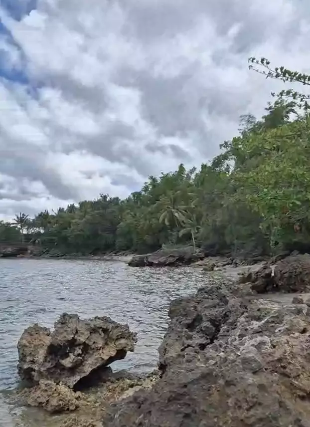 Own a Piece of Paradise – Beach Lot for Sale! — Beach Lot in Cebu, Philippines — Photo 3