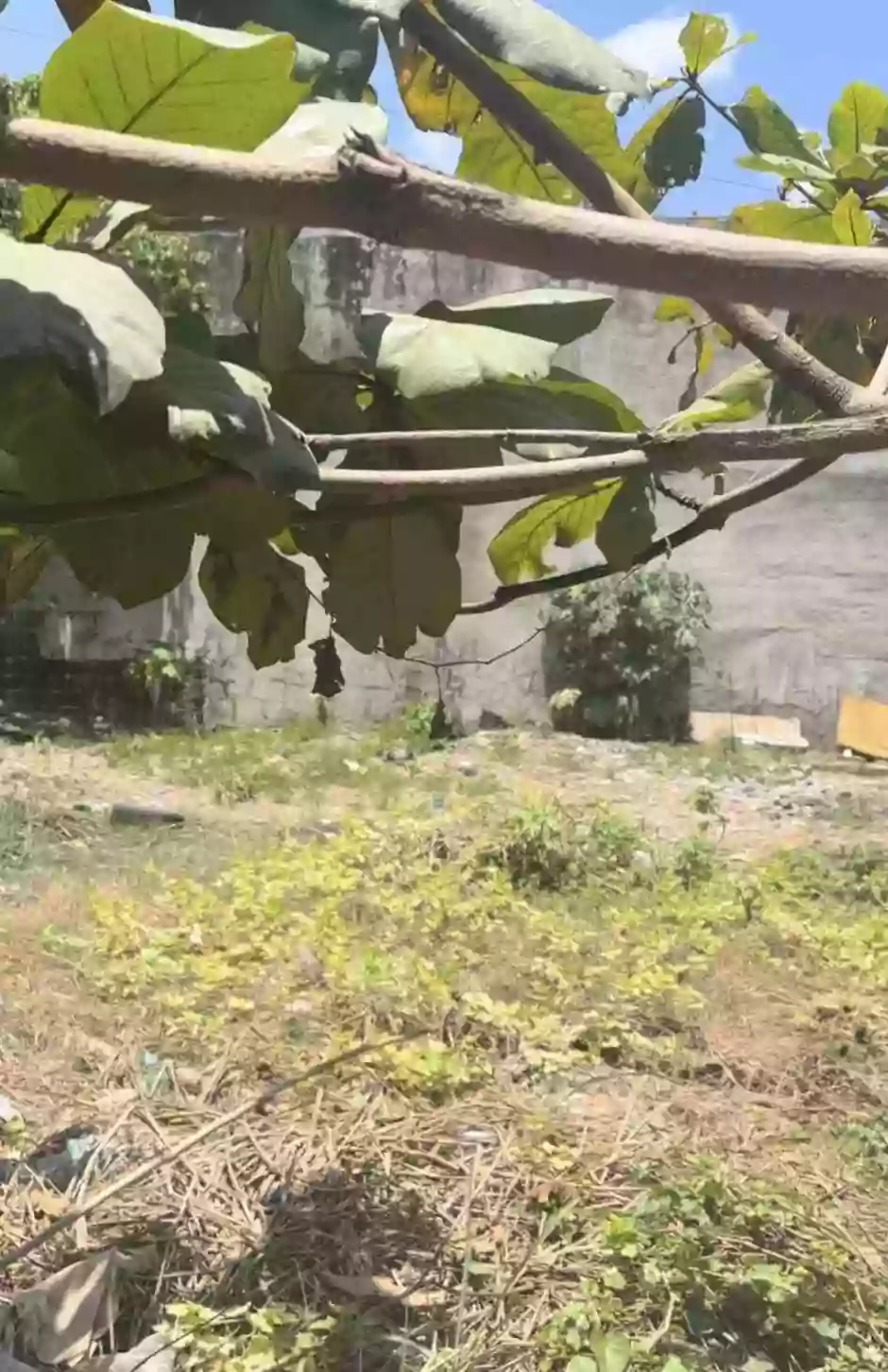 Paknaan Mandaue City — Commercial Lot in Philippines — Photo 3
