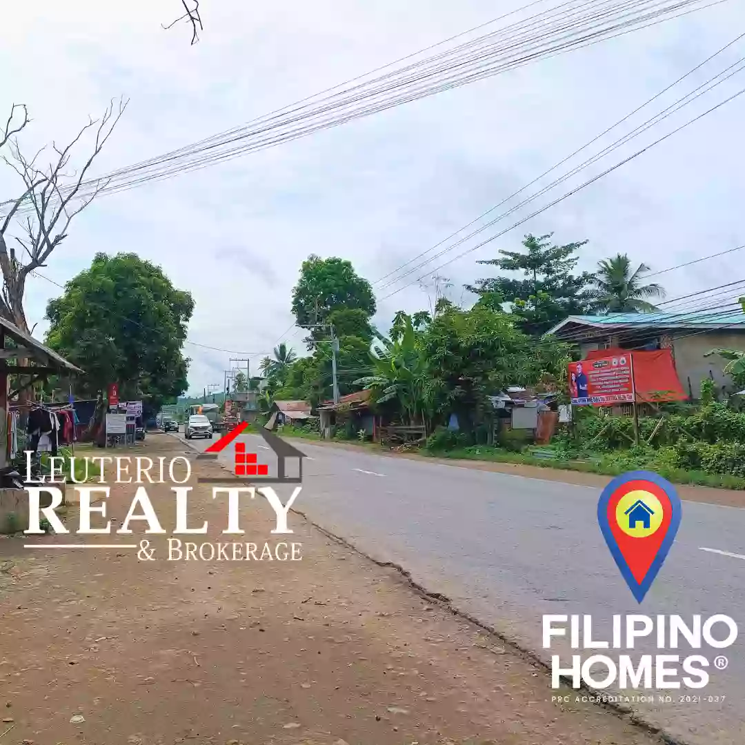 Lot For Sale 200sqm Residential lot in Panikihan Gumaca Quezon. Clean Title near to National Highway — Residential Lot in Gumaca, Quezon, Philippines — Photo 2