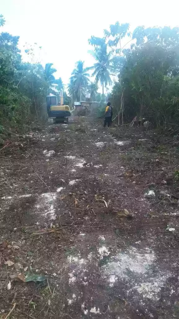 Lot For Sale in Panglao, Bohol — Agricultural Lot in Panglao, Bohol, Philippines — Photo 2