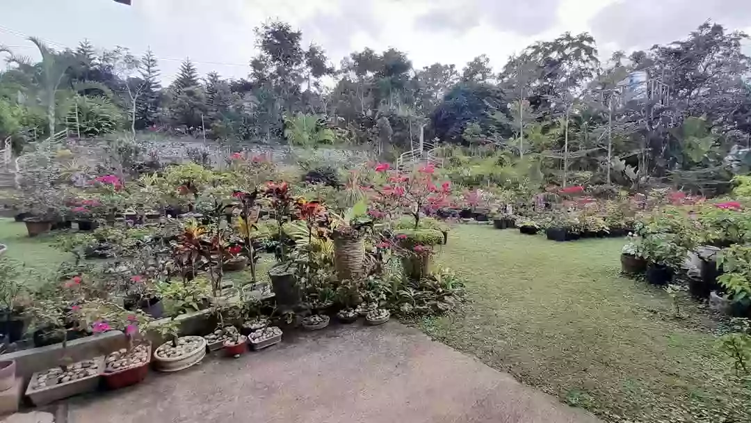 FOR SALE: Farm House in Sirao, Cebu 4,671sqm land area — Retirement House in Cebu City, Cebu, Philippines — Photo 3