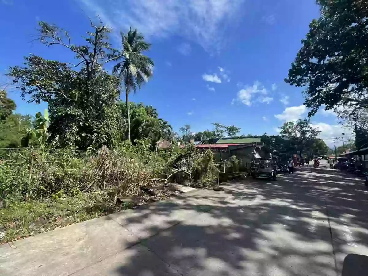 COMMERCIAL LOT FOR SALE IN BACOLOD!