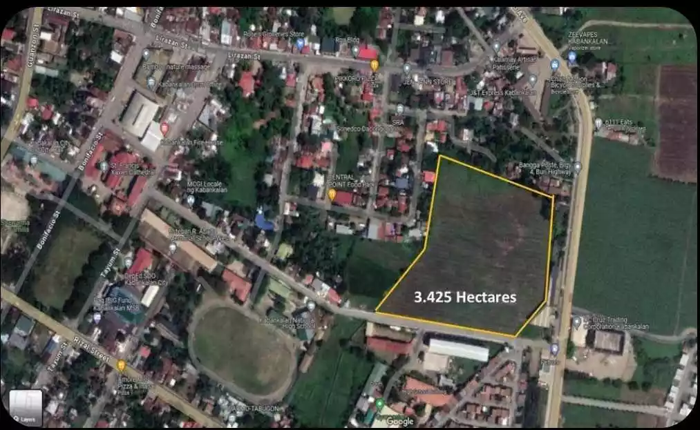 3.423 Hectares Lot for sale — Agricultural Lot in Negros Occidental, Philippines — Photo 3