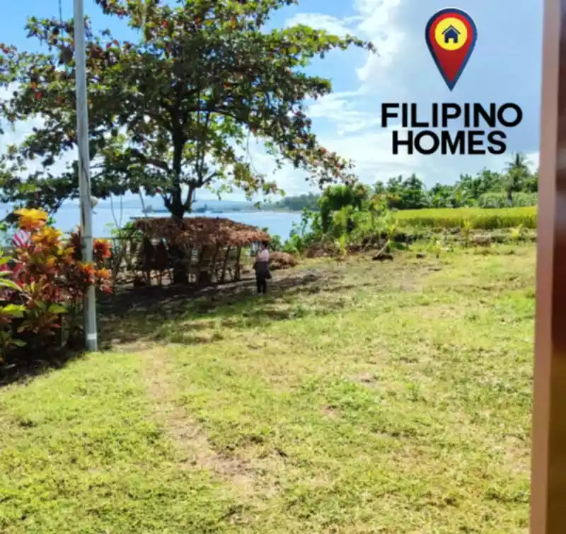 BEACH FRONT WITH MAYON VOLCANO VIEW 1500 SQM — Beach Lot in Albay, Philippines — Photo 6