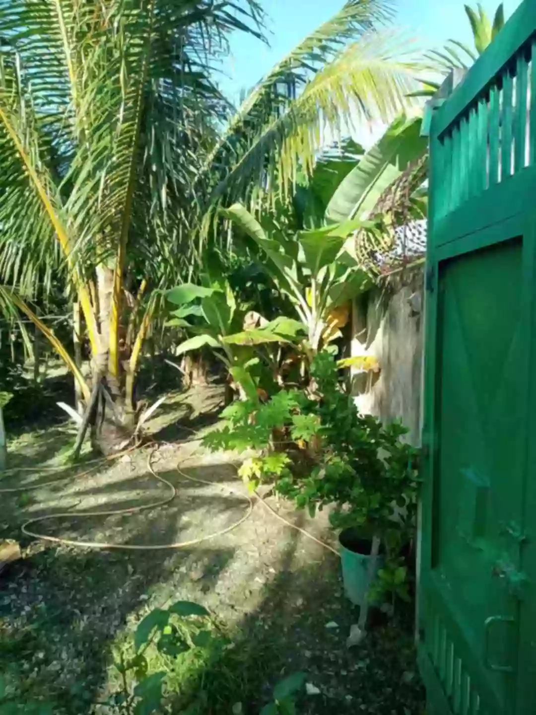 Lot For Sale at Talisay City — Residential Lot in Talisay City, Negros Occidental, Philippines — Photo 5
