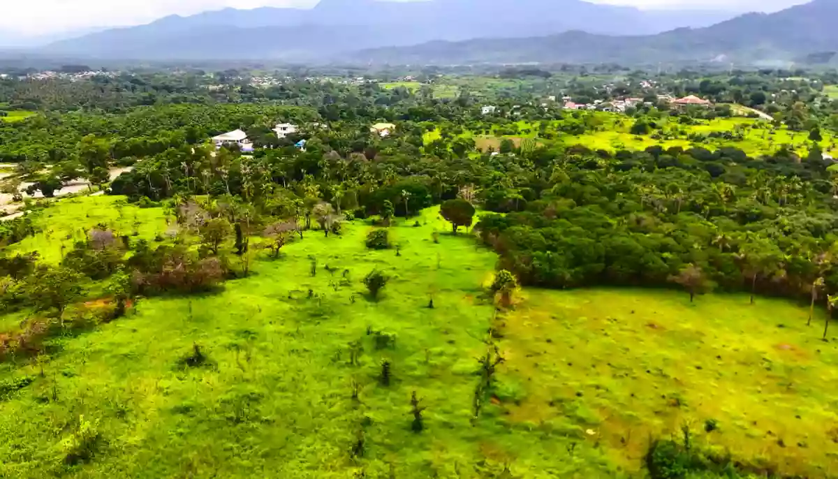 PRIME LOT STA.MONICA PUNTA PRINCESA PALAWAN FOR SALE! — Residential Lot in Puerto Princesa City, Palawan, Philippines — Photo 2