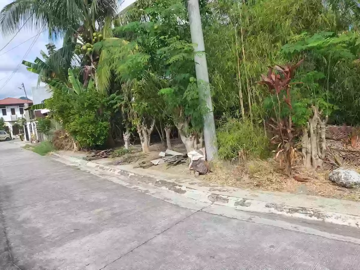 Prime Lot for sale in a High-End Subdivision — Residential Lot in Tungkop Road, Minglanilla, Cebu — Photo 4