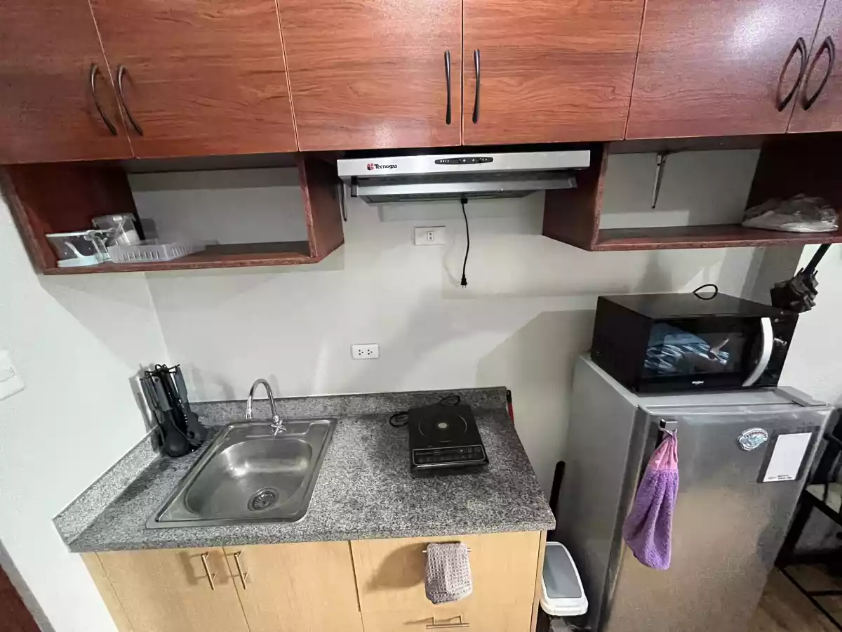 Furnished Studio Unit for sale in Mivesa Garden Residences — Studio in Salinas Drive Extension, Cebu City, Philippines — Photo 4