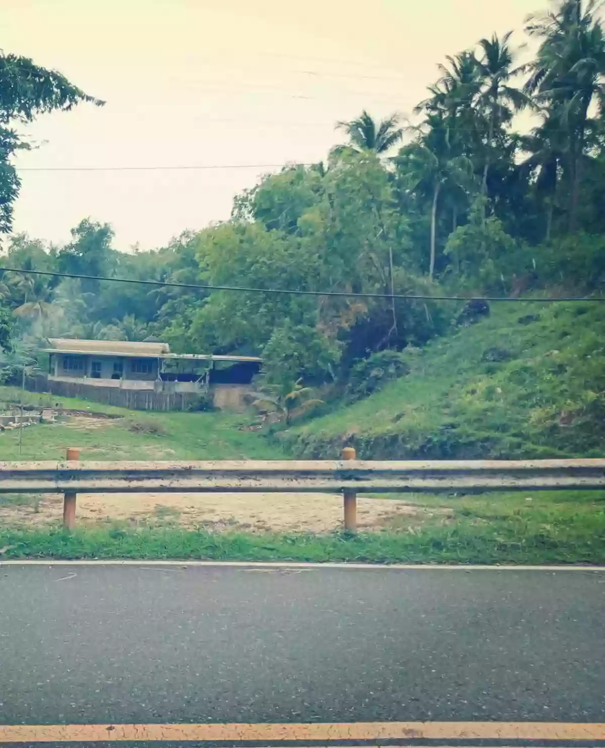 4,934 sqm Prime Lot with Ocean View & Highway Frontage in Badian, Cebu (Near Kawasan Falls) — House and Lot in Badian, Cebu, Philippines — Photo 2
