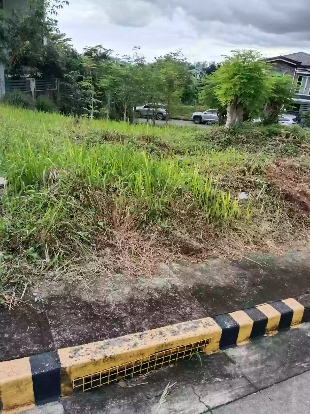 For Sale Corner lot at Royale Cebu Estate, Consolacion, Cebu. — Residential Lot in Cebu, Philippines — Photo 2