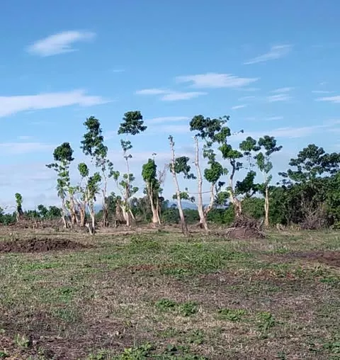 38950-38949 — Agricultural Lot in Phelan Drive, Pacol, Naga — Photo 2