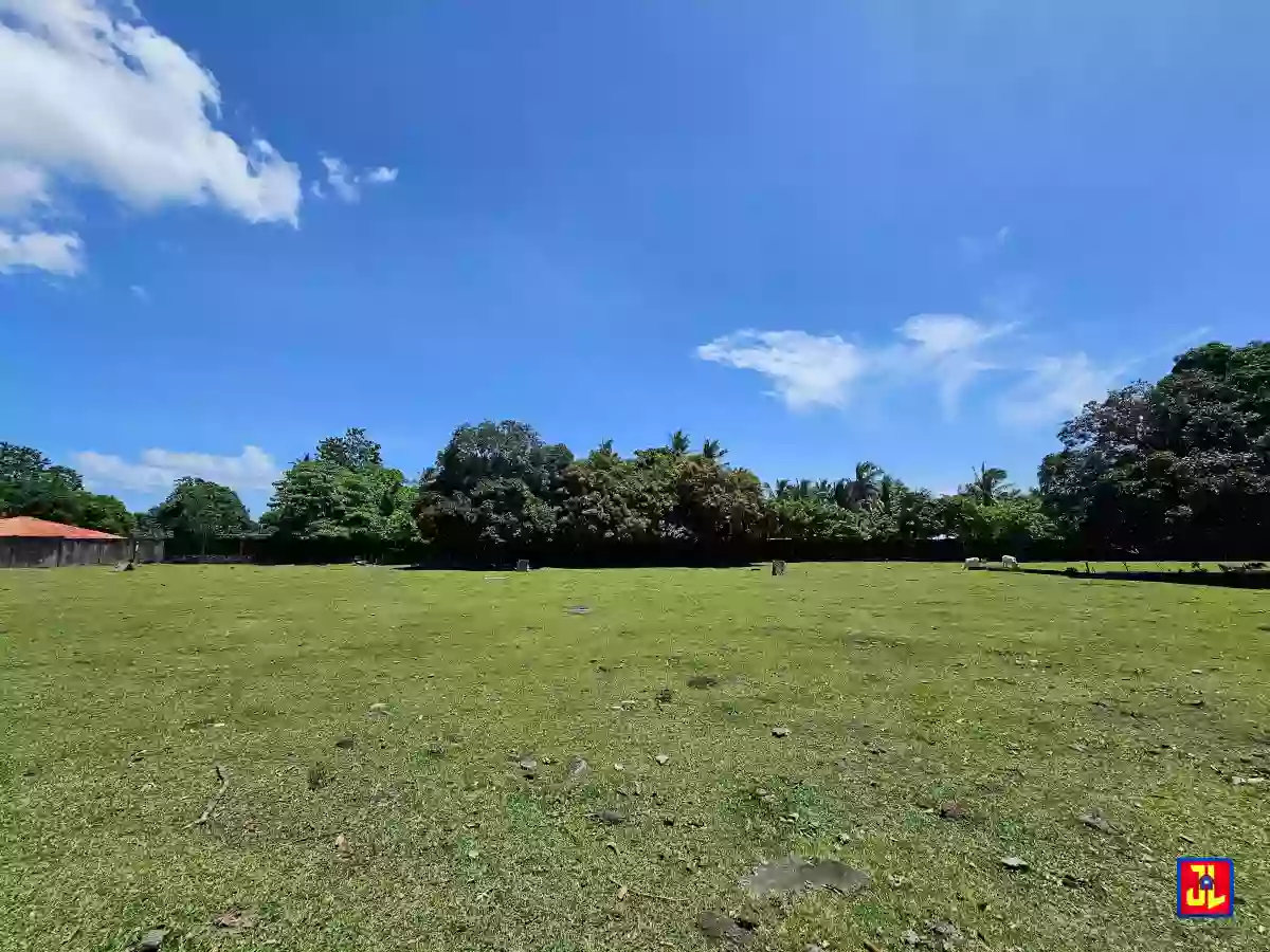Rush Sale 13,431sqm Amazing Commercial Lot Along National Highway Talay, Dumaguete [available] — Commercial Lot in Dumaguete City, Negros Oriental, Philippines — Photo 3