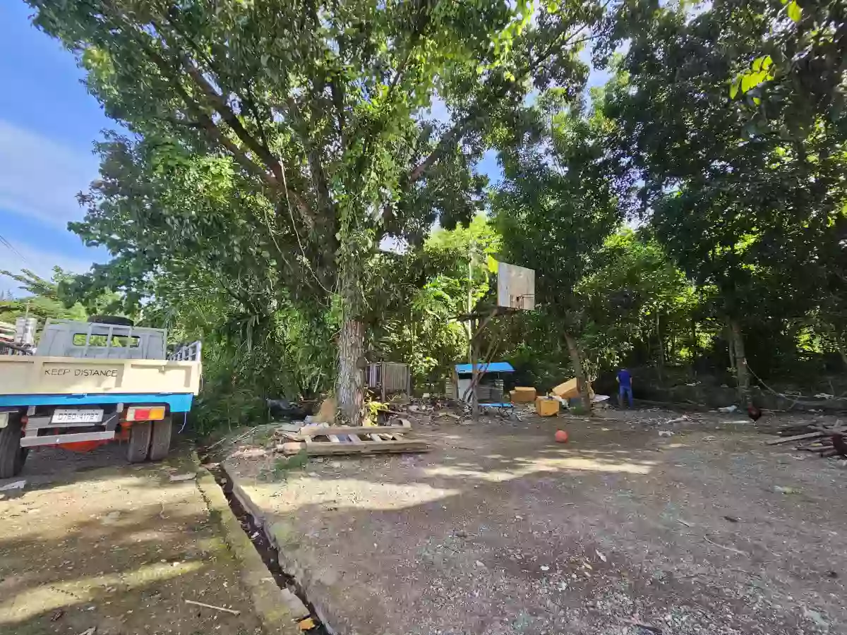 Titled Residential Lot for sale in Tayud Liloan 