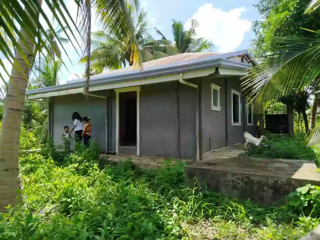 Agricultural lot with 2 house in Dumanjug