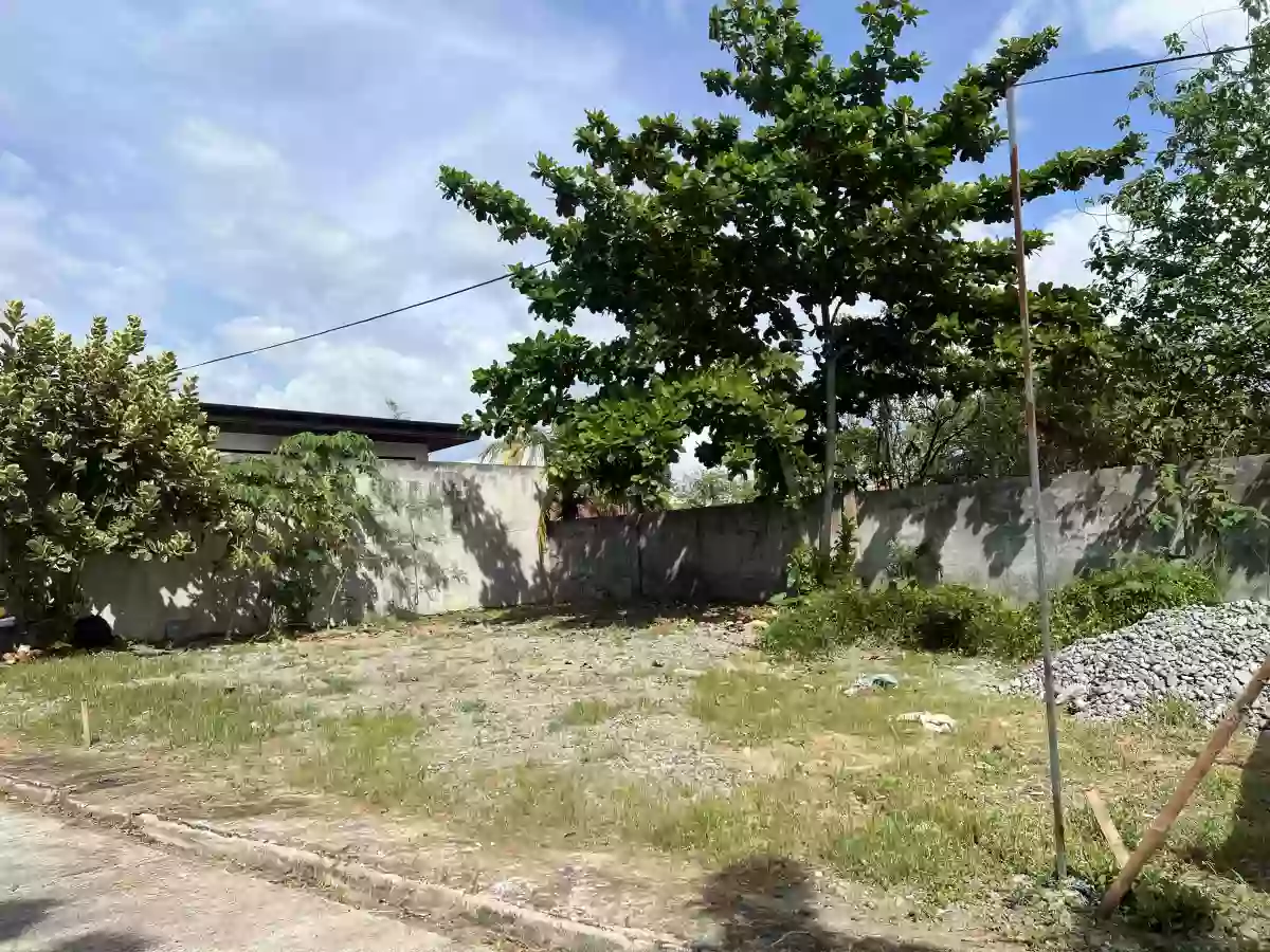 Amazing Residential Lot for Sale in Butuan City — Residential Lot in Butuan City, Agusan del Norte, Philippines — Photo 2
