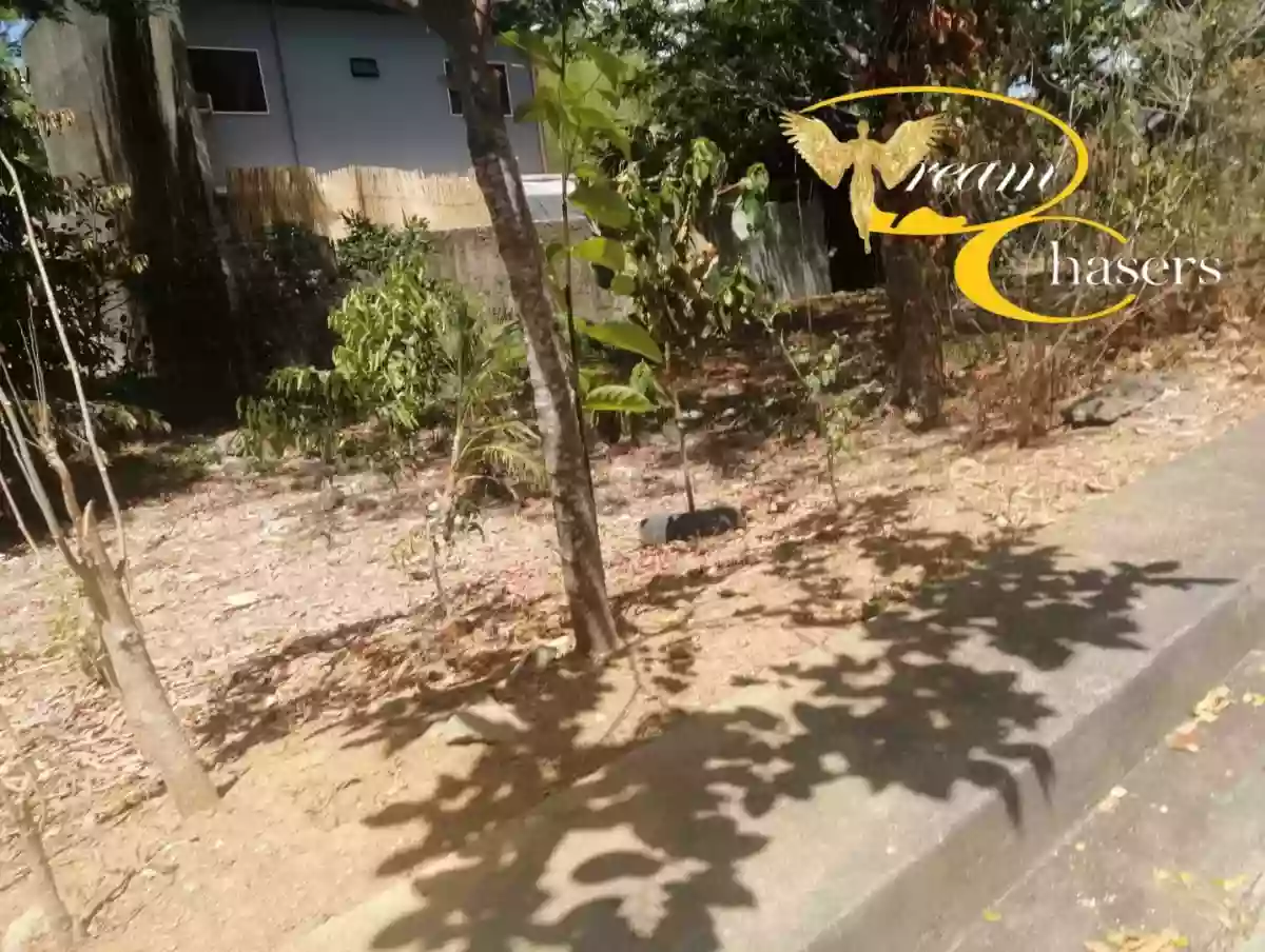 127 sqm Lot Only in Pulang-bato — Residential Lot in Cebu City, Cebu, Philippines — Photo 3